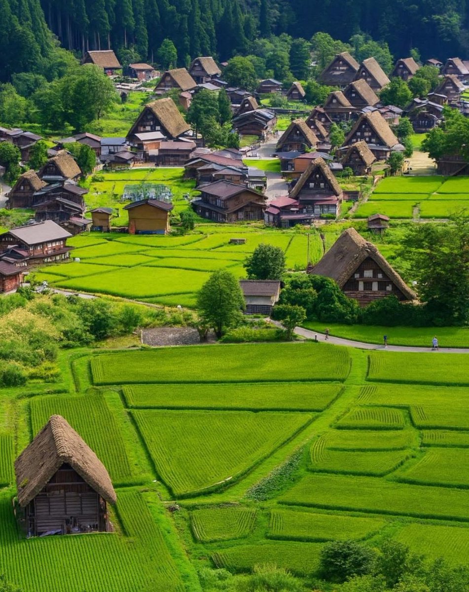 世界の絶景 tweet media