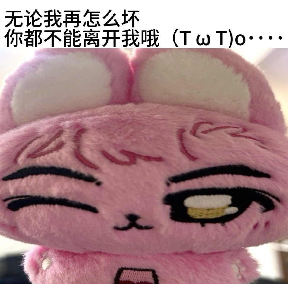 xingrenbear's tweet photo. baby tabi https://t.co/HD8ldCFg1l
