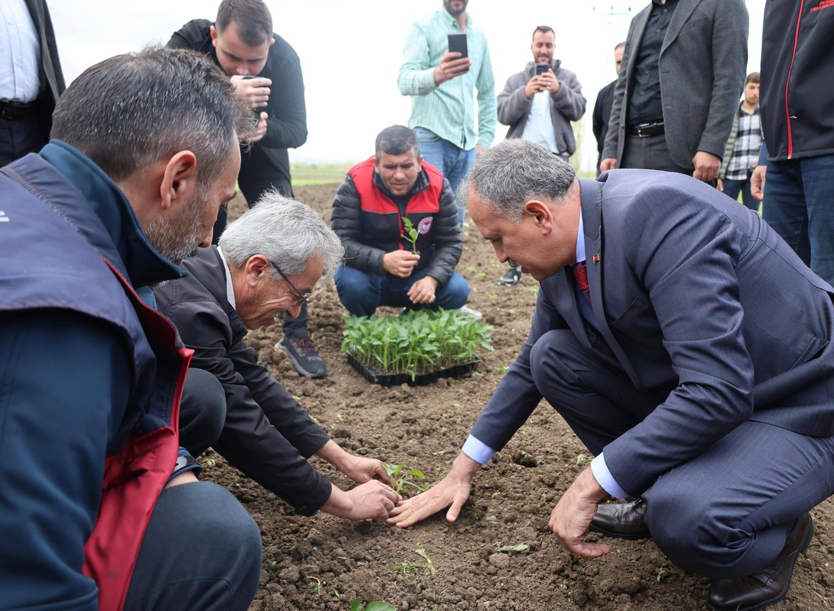 tcagrivaliligi's tweet photo. Valimiz Sayın Önder BOZKURT, Aşkale Köyü’nde Valiliğimiz koordinesinde Tarım ve Orman İl Müdürlüğü tarafından düzenlenen fide dağıtım programına katıldı.

İlimiz genelinde yürütülen “Sebze Yetiştiriciliğinin Yaygınlaştırılması Projesi” kapsamında gerçekleştirilen programda;

🧑‍🌾 2️⃣3️⃣6️⃣ çiftçimize,
🍅🫑 yaklaşık 1️⃣0️⃣0️⃣ bin adet sebze fidesi dağıtımı gerçekleştirildi.

Üretimin artırılması, atıl tarım arazilerinin değerlendirilmesi ve çiftçilerimizin desteklenmesi amacıyla hayata geçirilen proje ile ilimizde sebze yetiştiriciliğinin yaygınlaştırılması hedefleniyor.

Programda üreticilerle bir araya gelen Valimiz, tarımsal üretimin güçlendirilmesine yönelik desteklerin kararlılıkla sürdürüleceğini ifade etti.