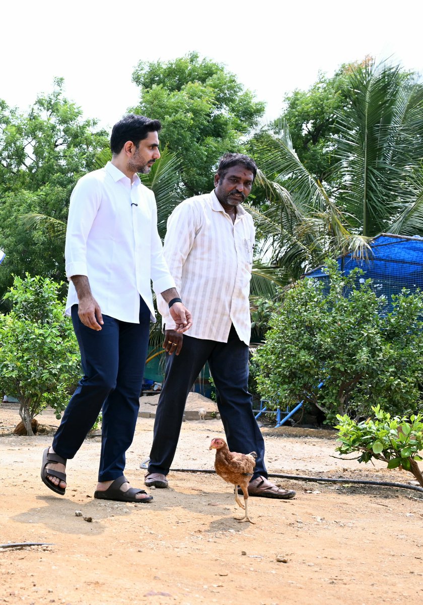 naralokesh's tweet photo. జమ్మలమడుగు నియోజకవర్గం ముద్దనూరు మండలం పెనికలపాడులో ప్రకృతి వ్యవసాయ క్షేత్రాన్ని సందర్శించాను. సమీకృత సేంద్రియ సాగు చేస్తున్న రైతు మునగాల ద్వారకానాథ రెడ్డి, అతని కుటుంబ సభ్యులతో మాట్లాడి 17 ఎకరాల్లో చేస్తున్న ప్రకృతి సేద్యం గురించి అడిగి తెలుసుకున్నాను. ఇక్కడ
సేంద్రియ పద్ధతిలో సాగుచేసిన మామిడిని రుచి చూశాను.. అద్భుతమైన రుచి.