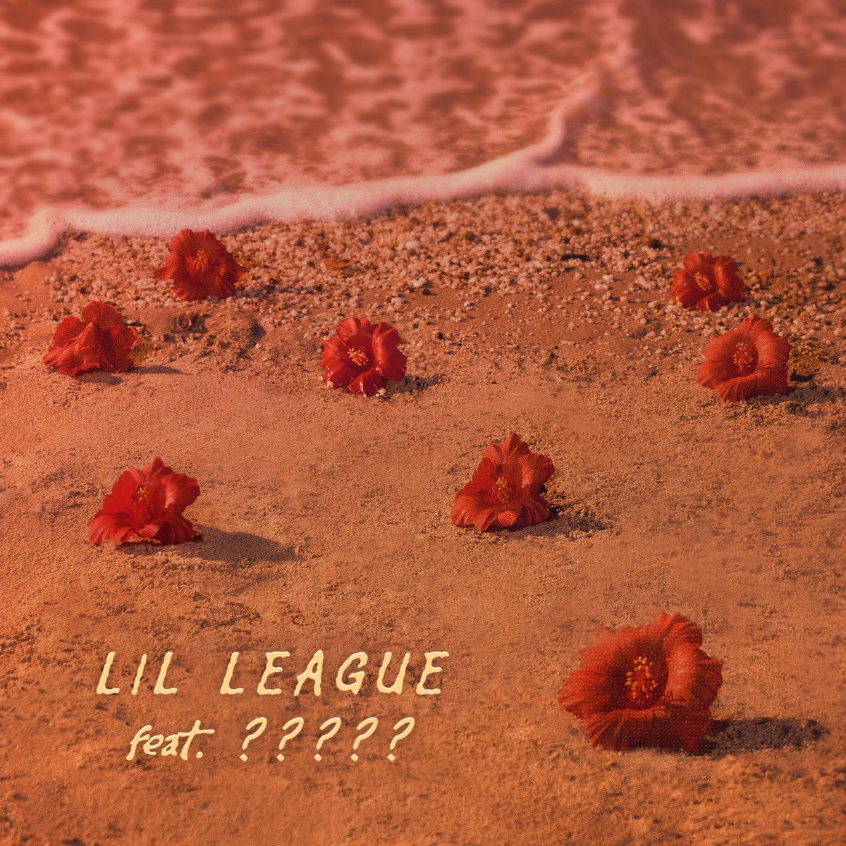 LIL LEAGUE tweet media