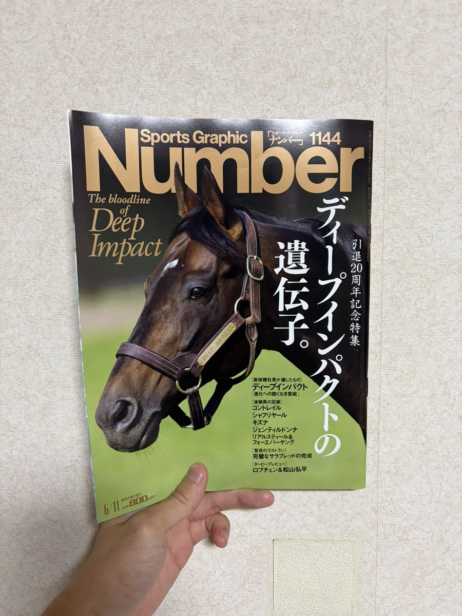 ディープインパクト