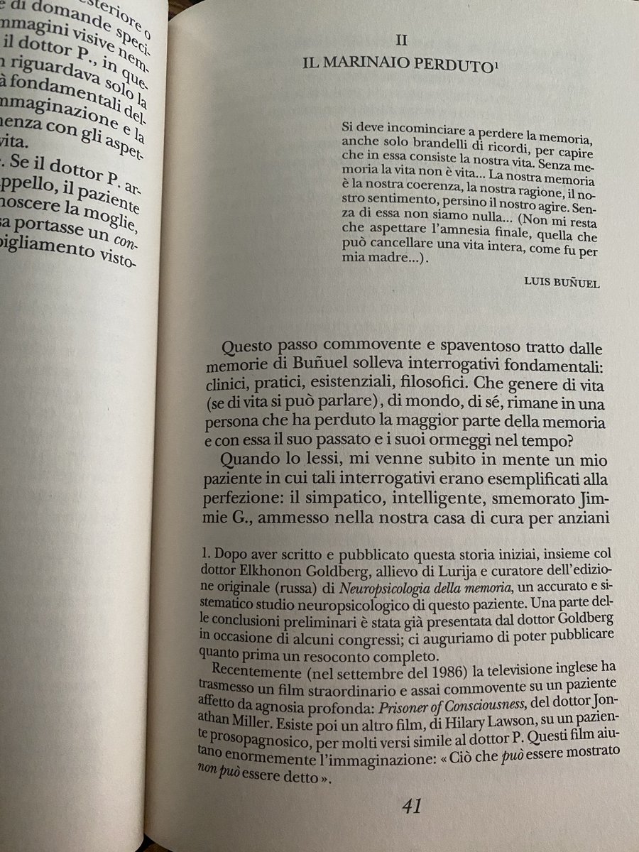 Clara Muollo tweet media