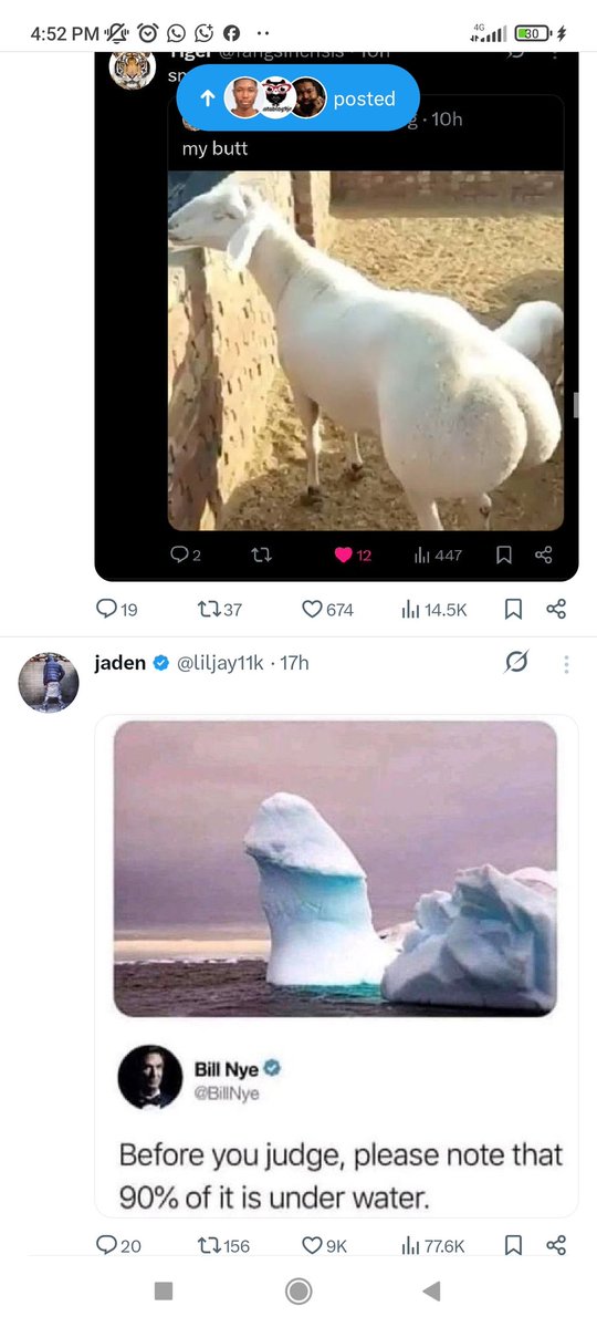 Zadok Moses tweet media