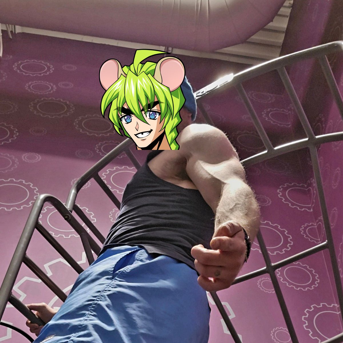 💪🐀 Donnie Dumbell 💪🐀 (Formerly RuinousInferno) tweet media