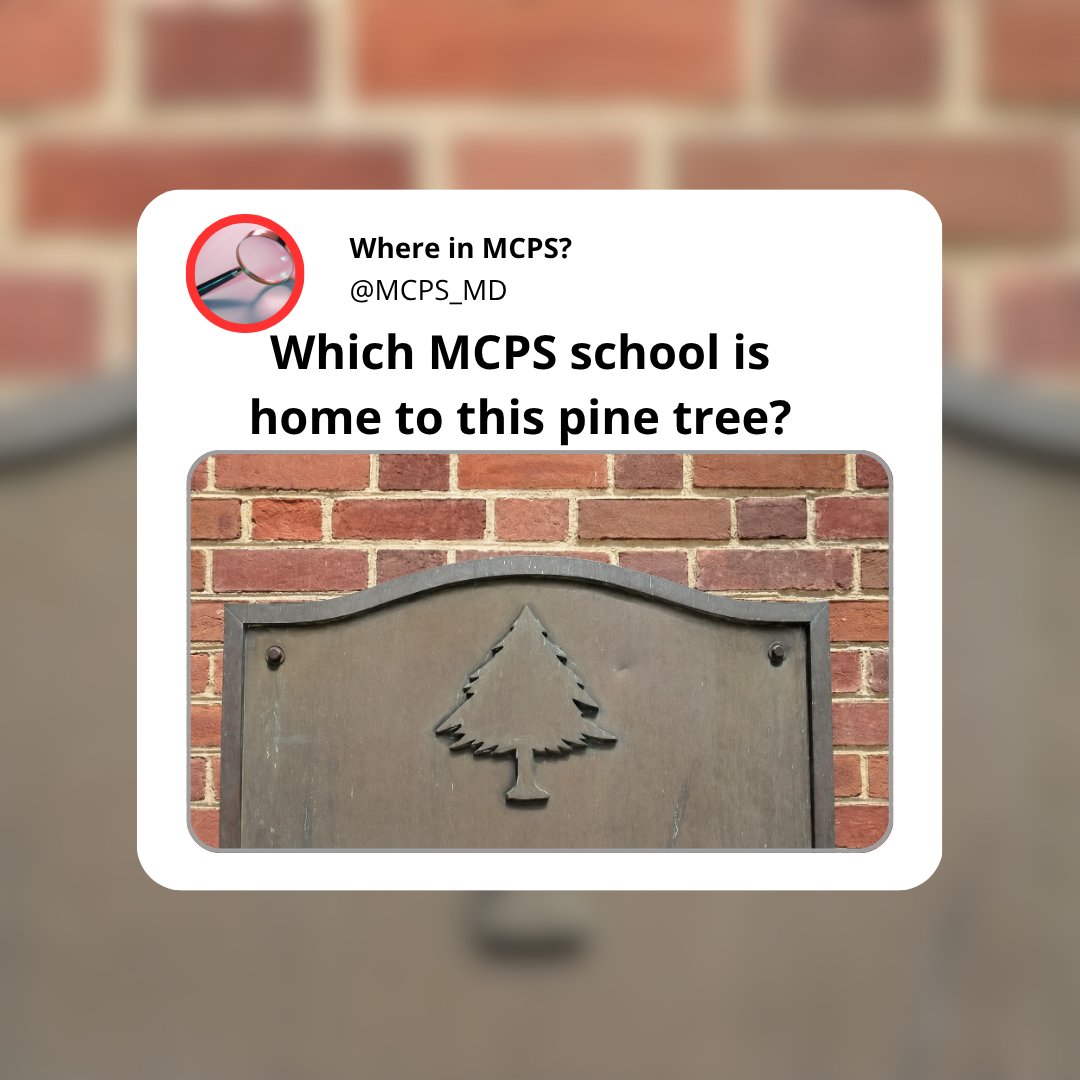 MCPS tweet media