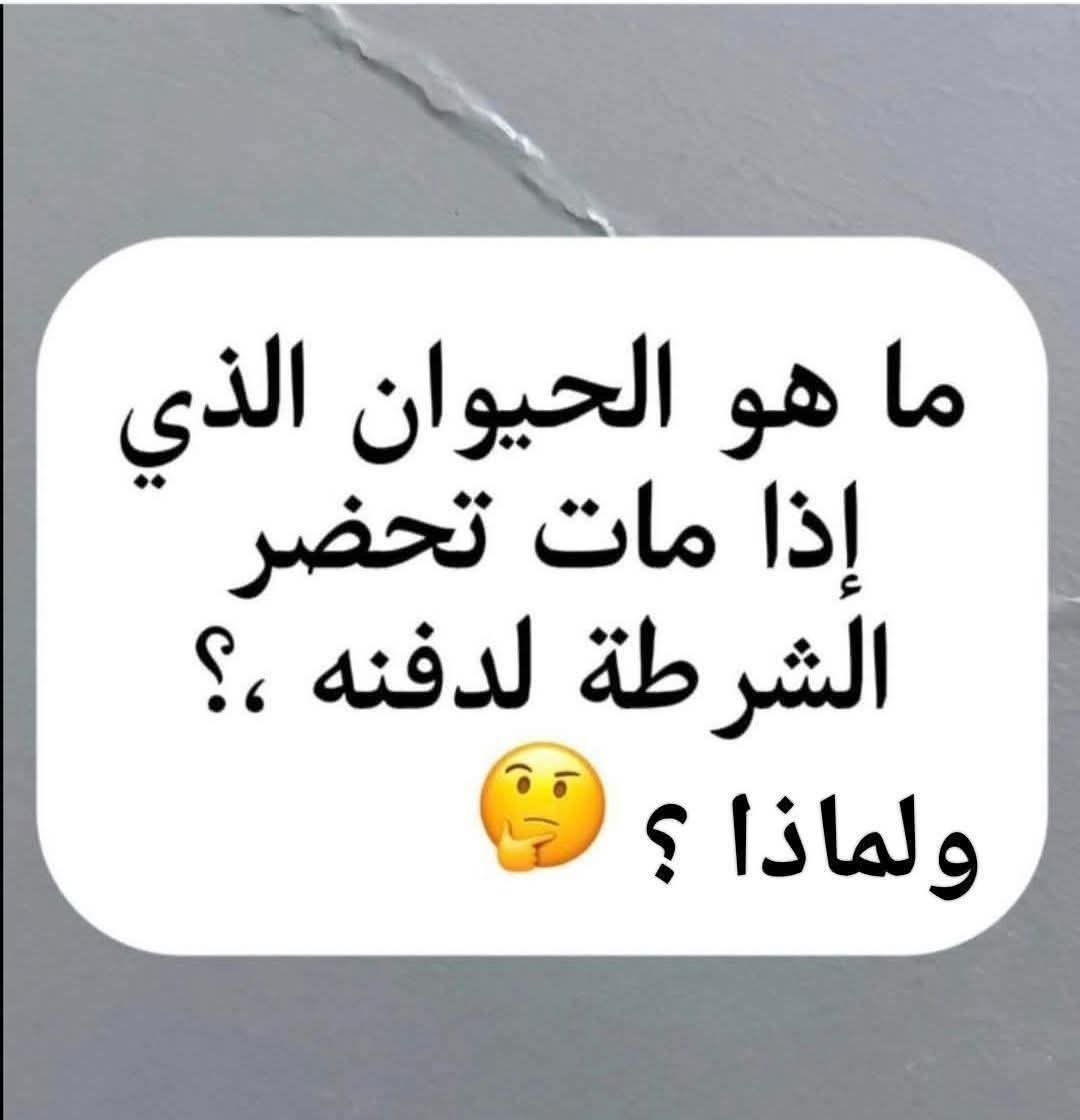 صخر إبراهيم tweet media