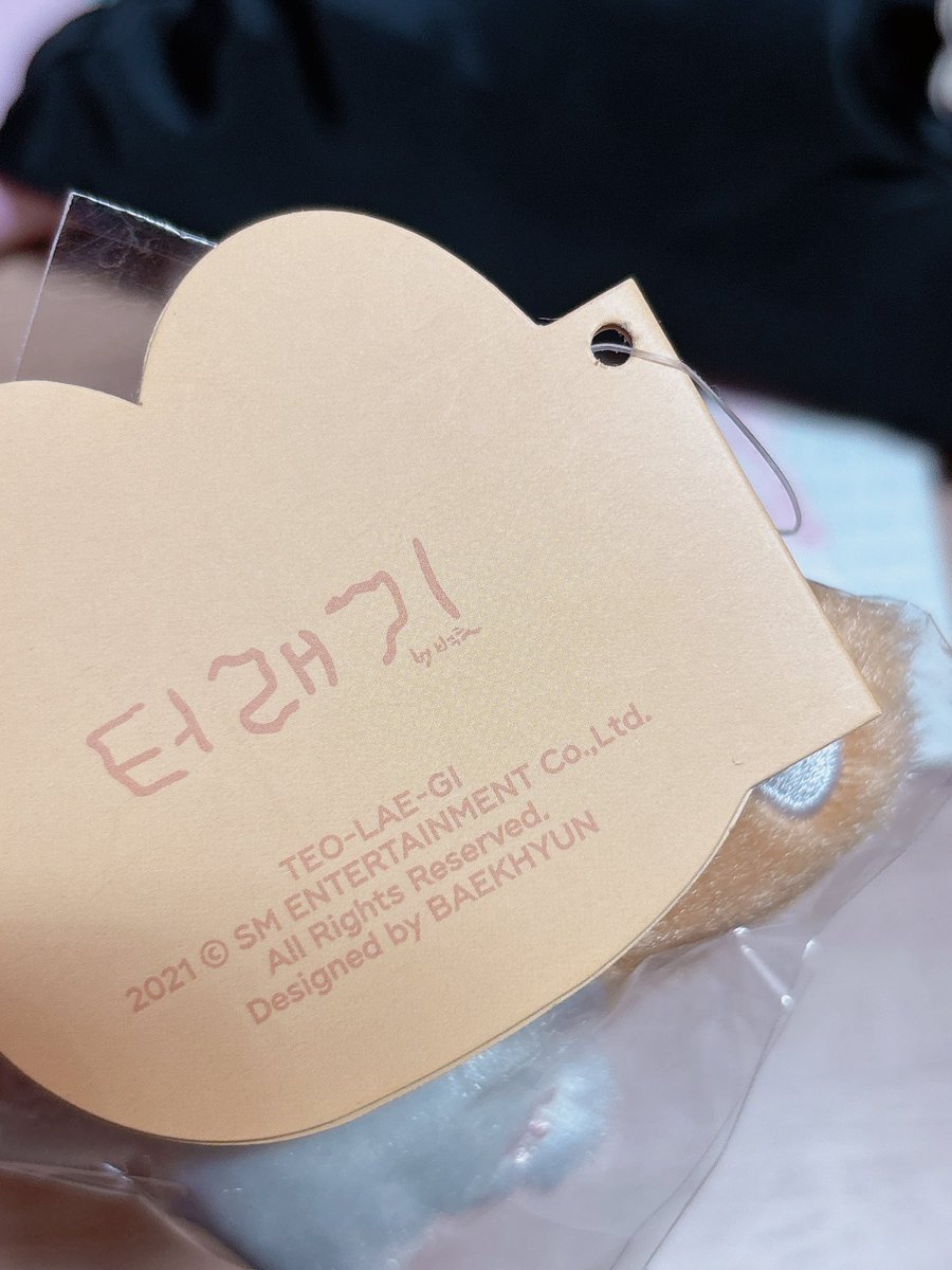 dan40313057's tweet photo. 터래기 양도합니다 
디엠 주세요
#터래기 #백현 #터래기키링 https://t.co/Nk0X1s2K9W