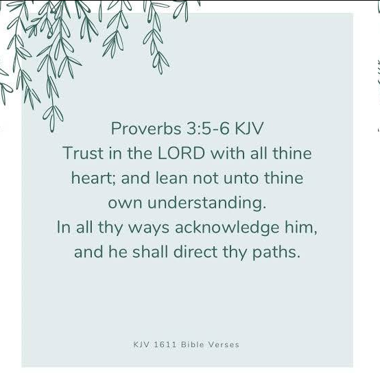 OliveTreeMin's tweet photo. https://t.co/0ModTFKcbe