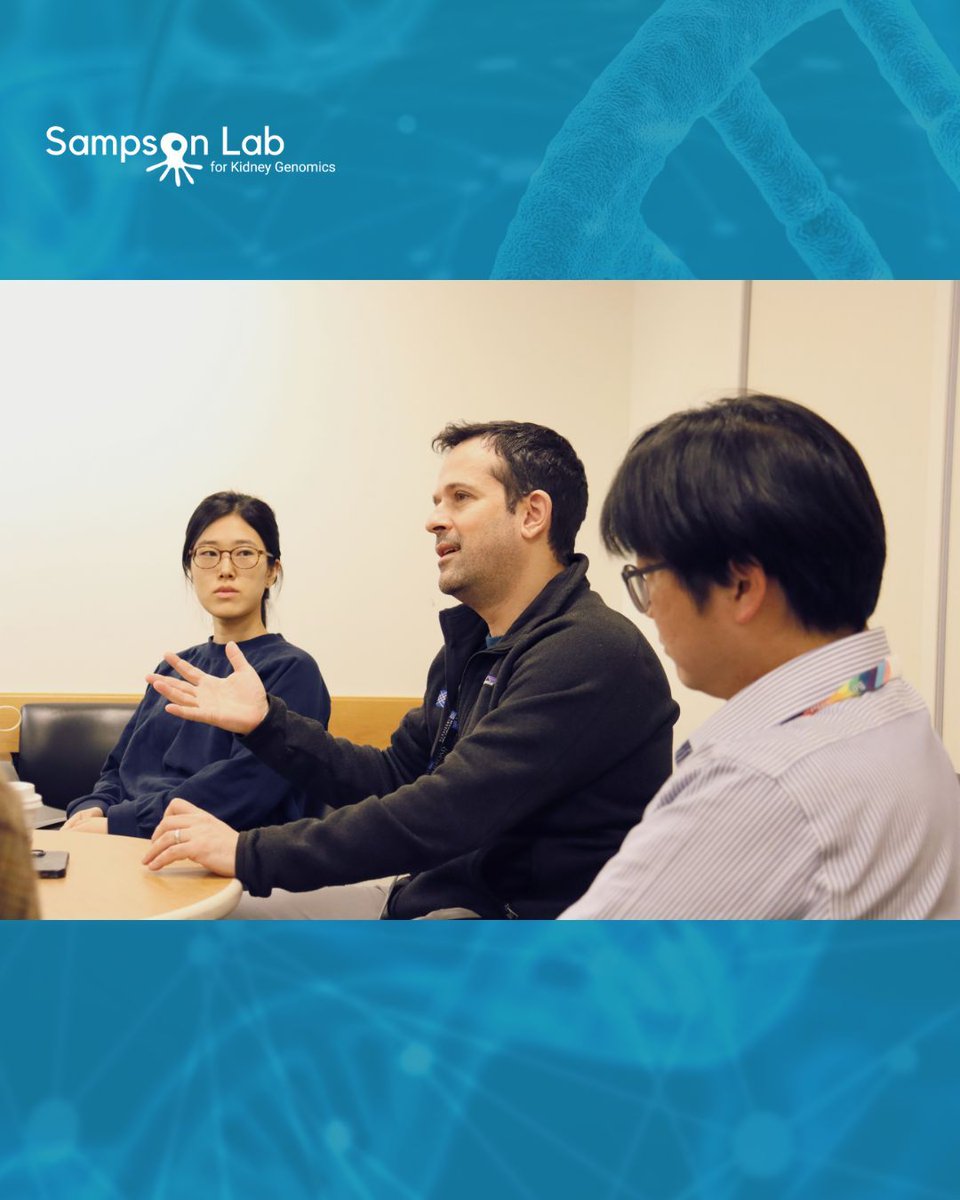 Sampson Lab for Kidney Genomics tweet media
