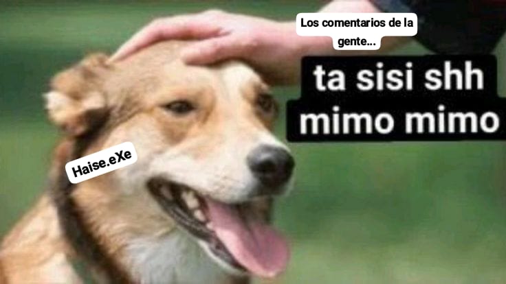 Guille_07 tweet media