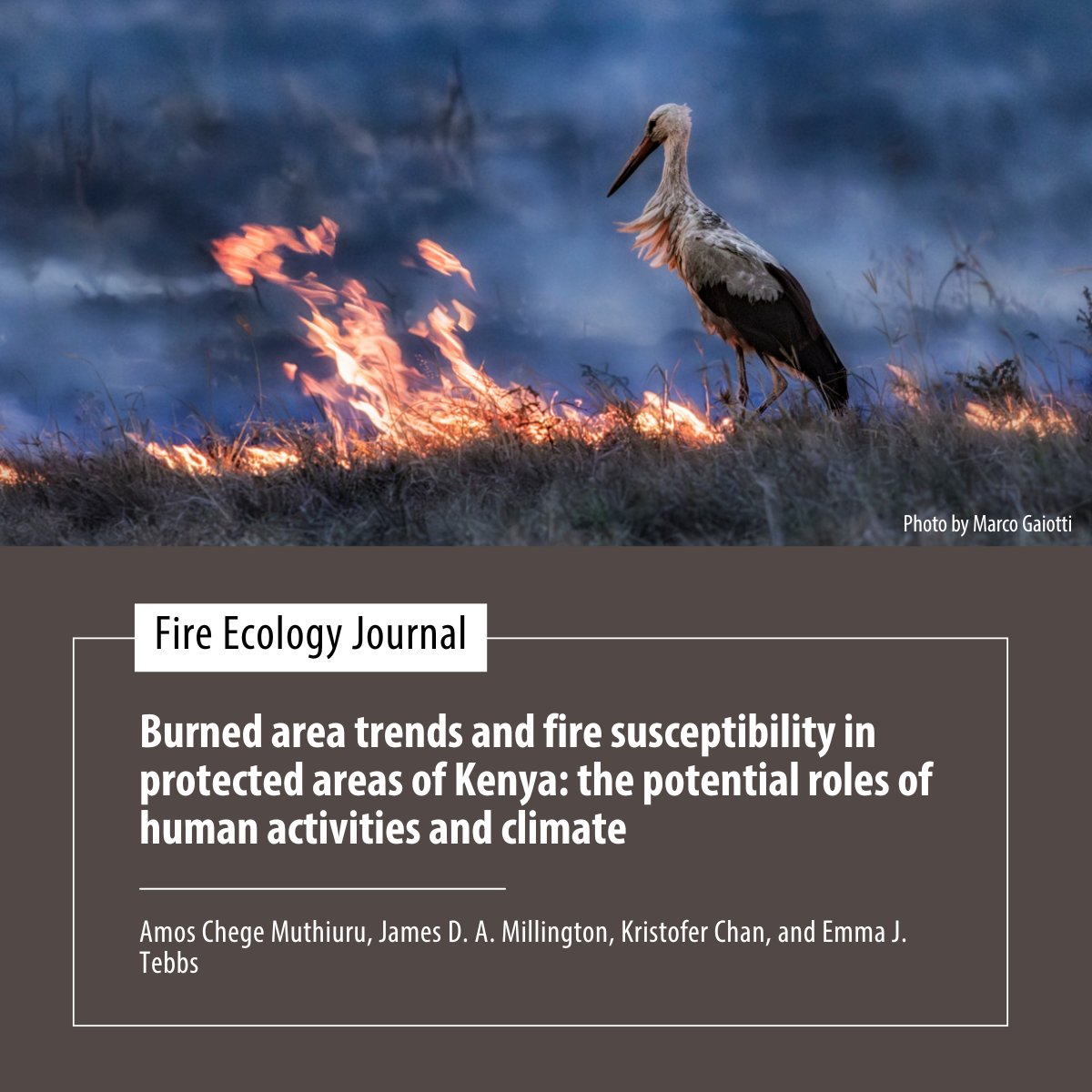 Association for Fire Ecology tweet media