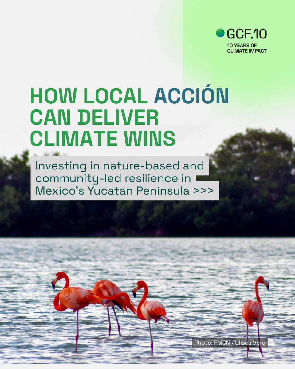 Green Climate Fund tweet media