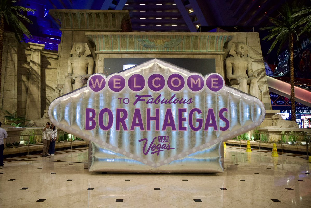 Borahaegas tweet media