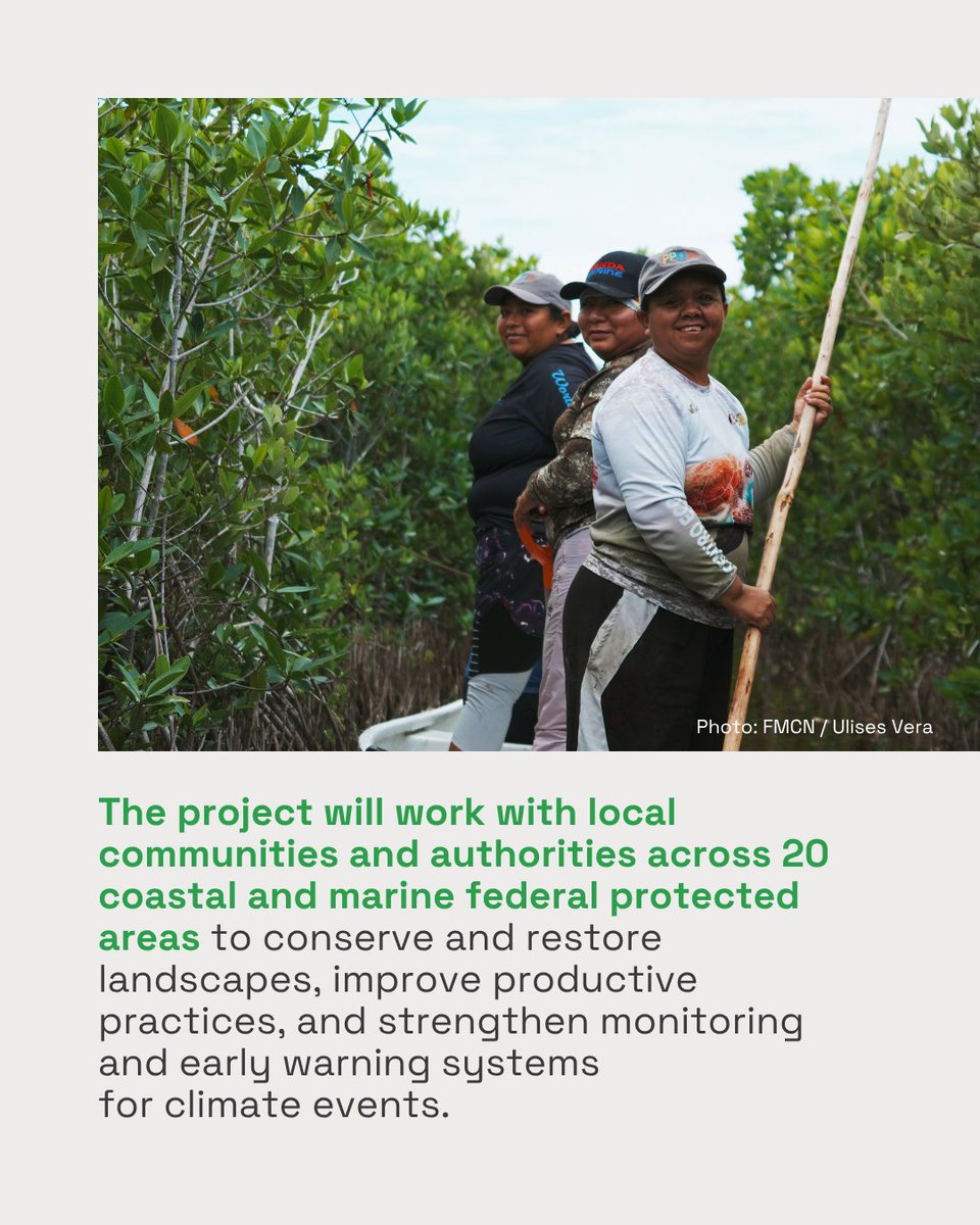 Green Climate Fund tweet media