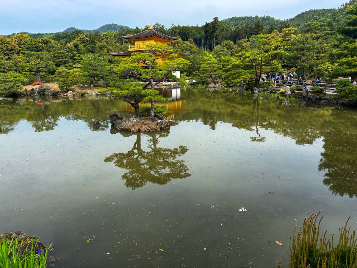 alcissa's tweet photo. Japan … 😎📸🇯🇵 https://t.co/AUfHzW5nRH