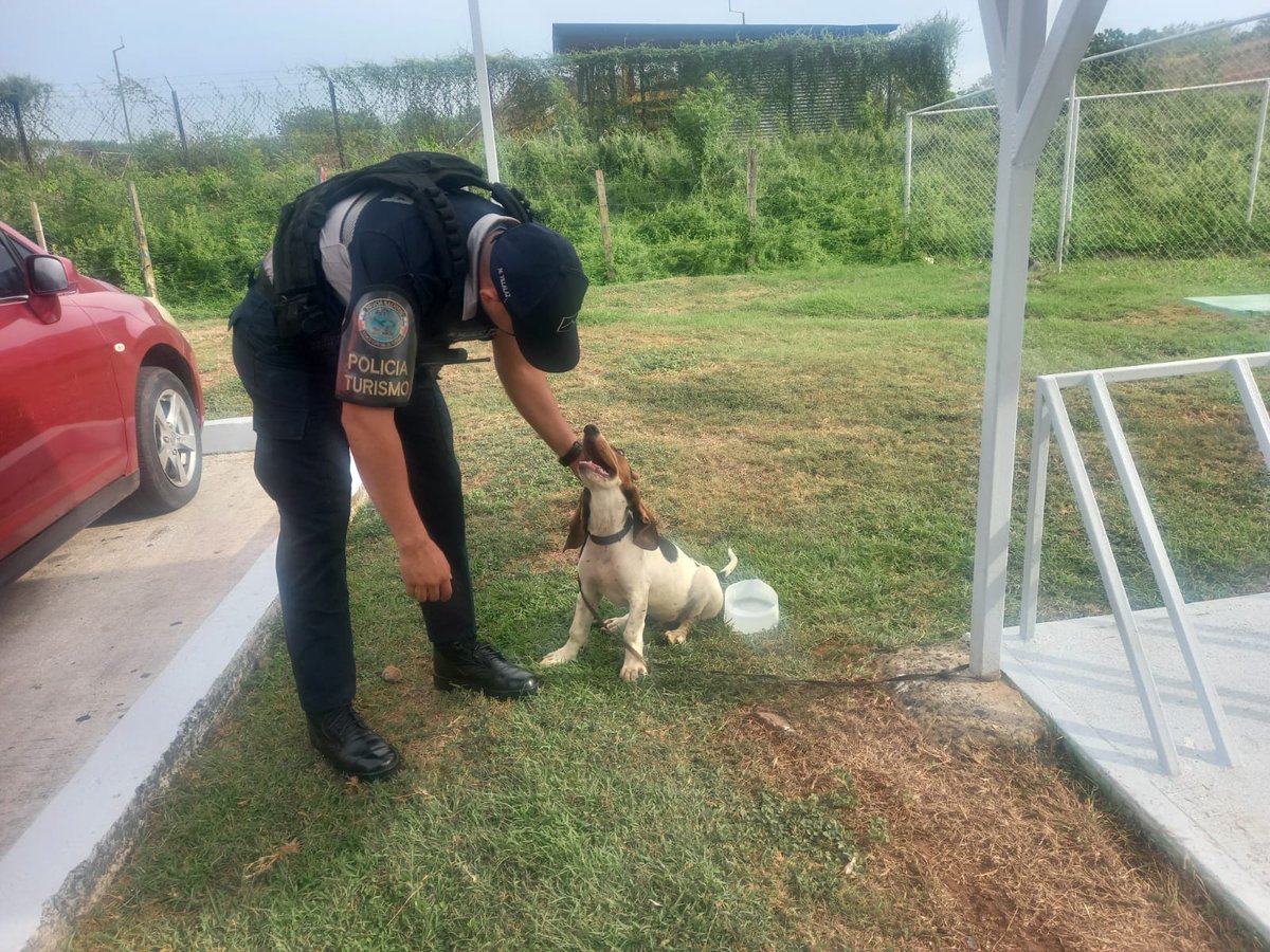 Policía Nacional tweet media