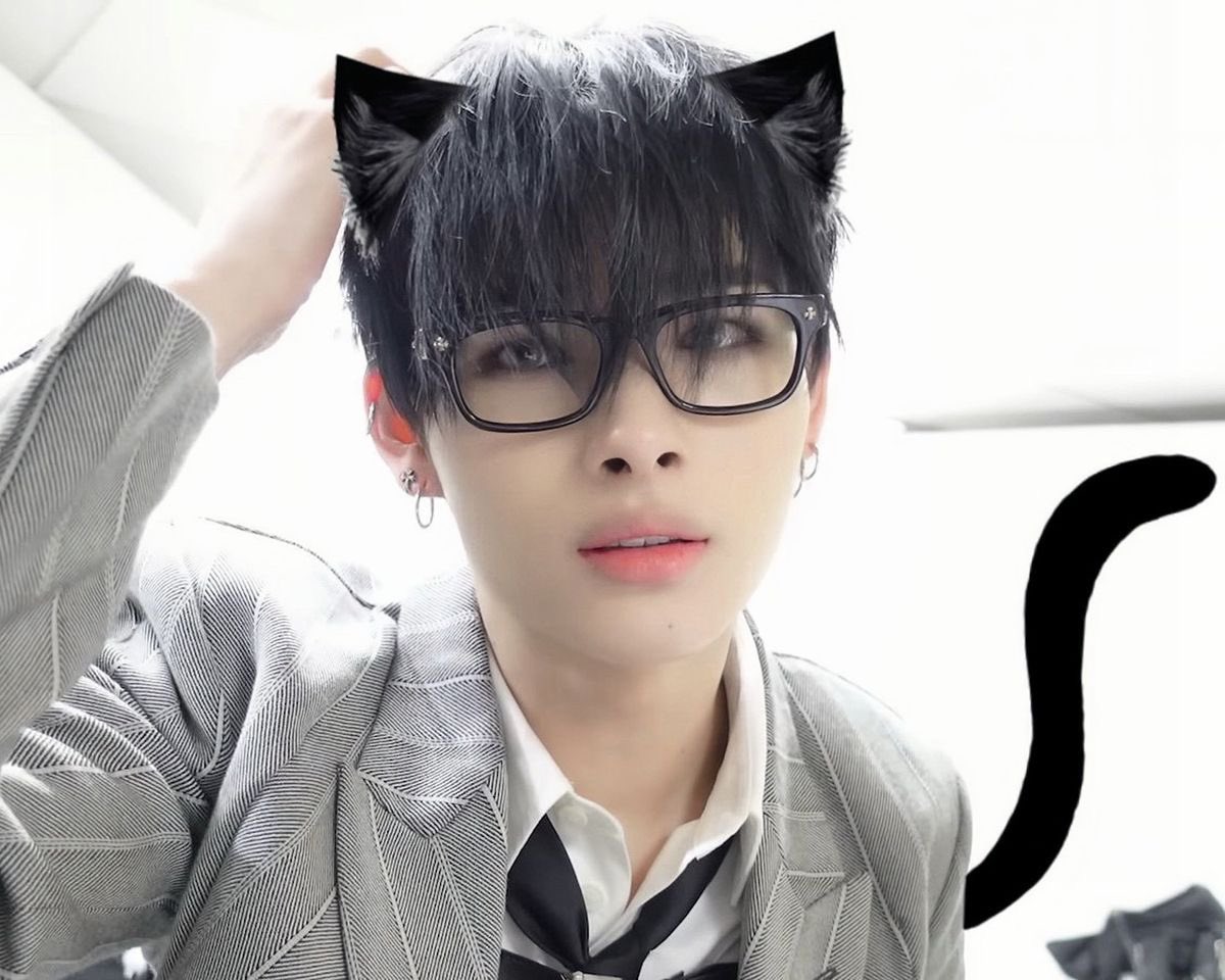 ⋆˙⟡♡ tweet media