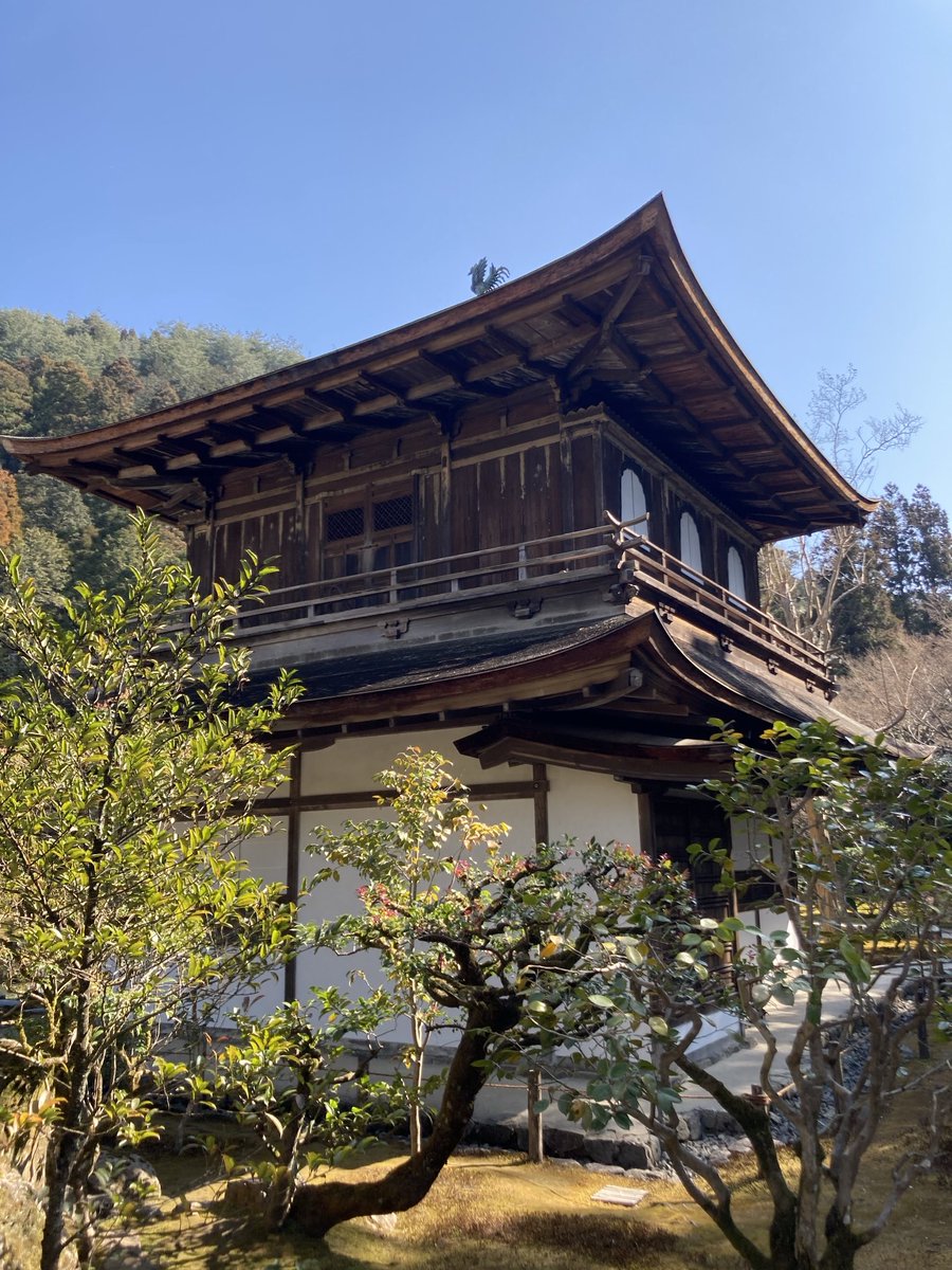 山猫小太郎 tweet media