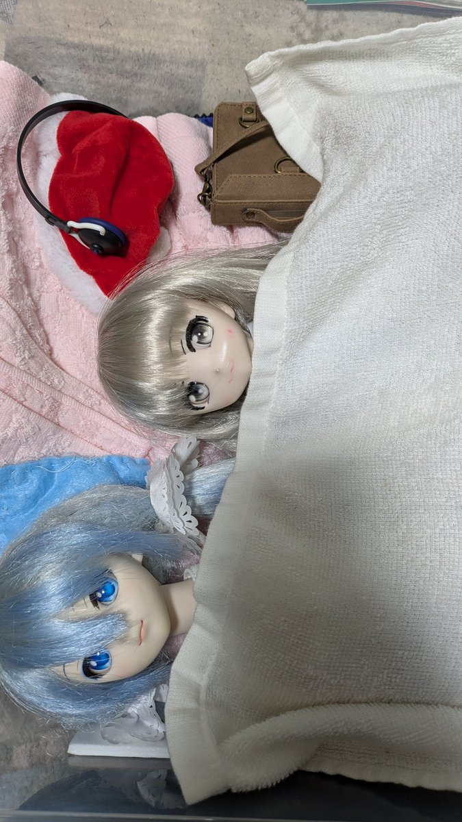 おやすみなさい…💤