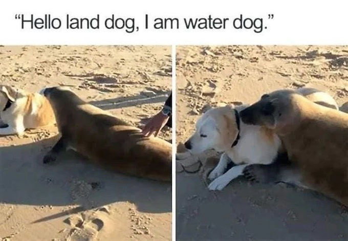 RealestMemes_'s tweet photo. https://t.co/uAwhXjlOOB