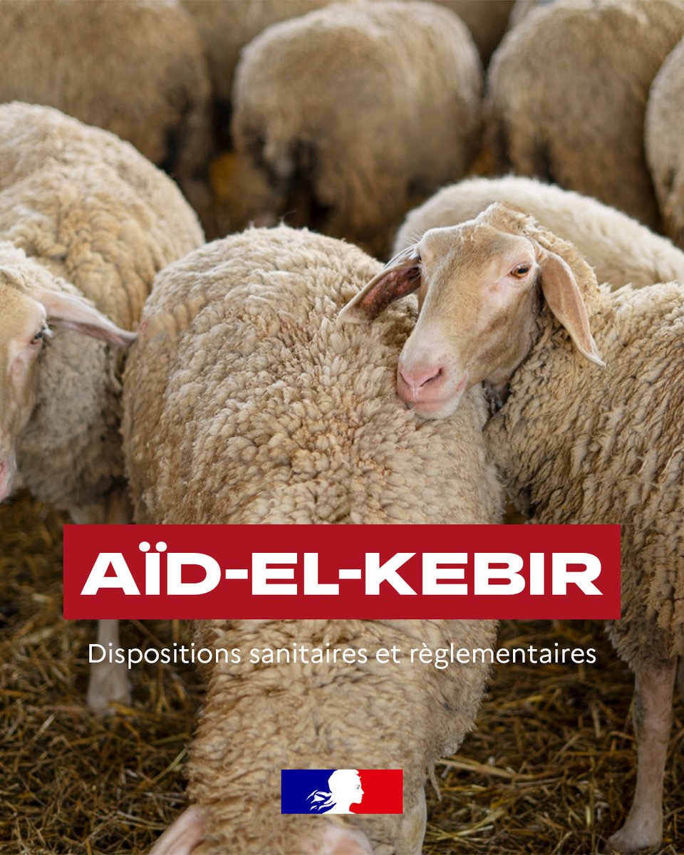 Image de Préfet du Gers : #AïdElKebir | Dispositions sanitaires et règlementaires
🐑La fête religieuse de l’Aïd-el-Kébir se d