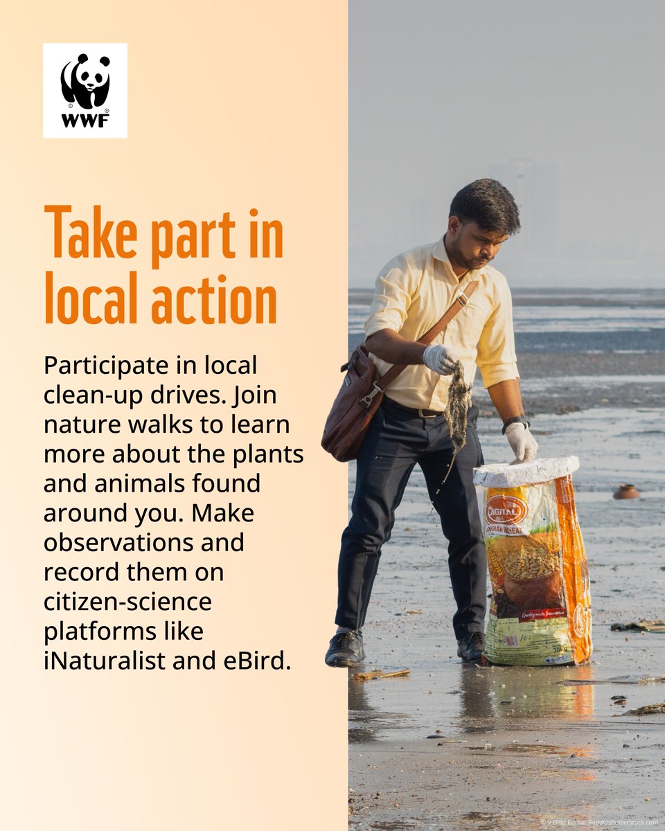 WWFINDIA's tweet photo. (3/3) This #InternationalBiologicalDiversityDay, learn about simple, everyday actions you can take to support biodiversity.  #WWFIndia https://t.co/A3MgKYl4F3
