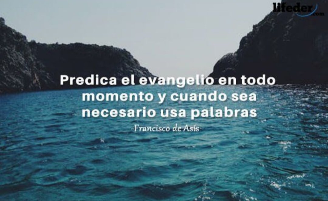 Luis tweet media