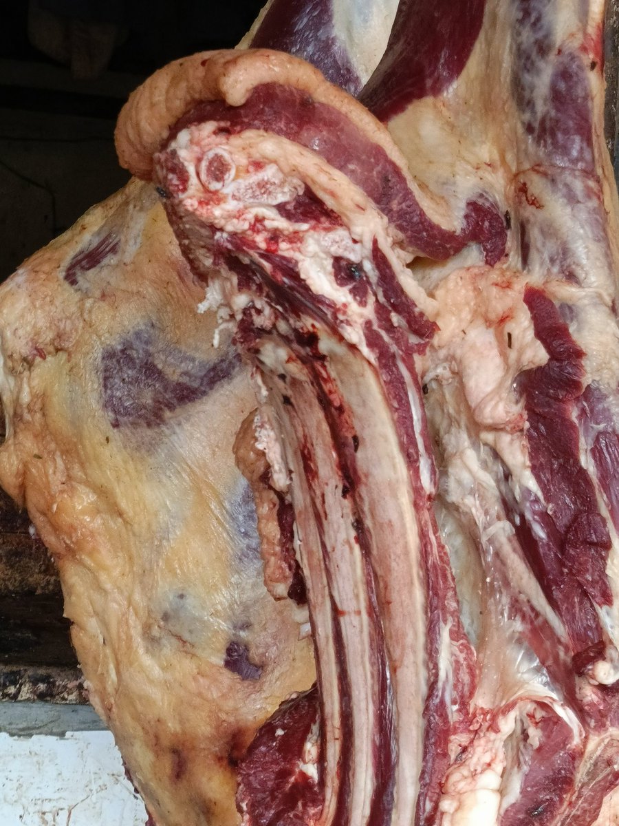 Ask1 Meat Chamber🍖🥩 tweet media