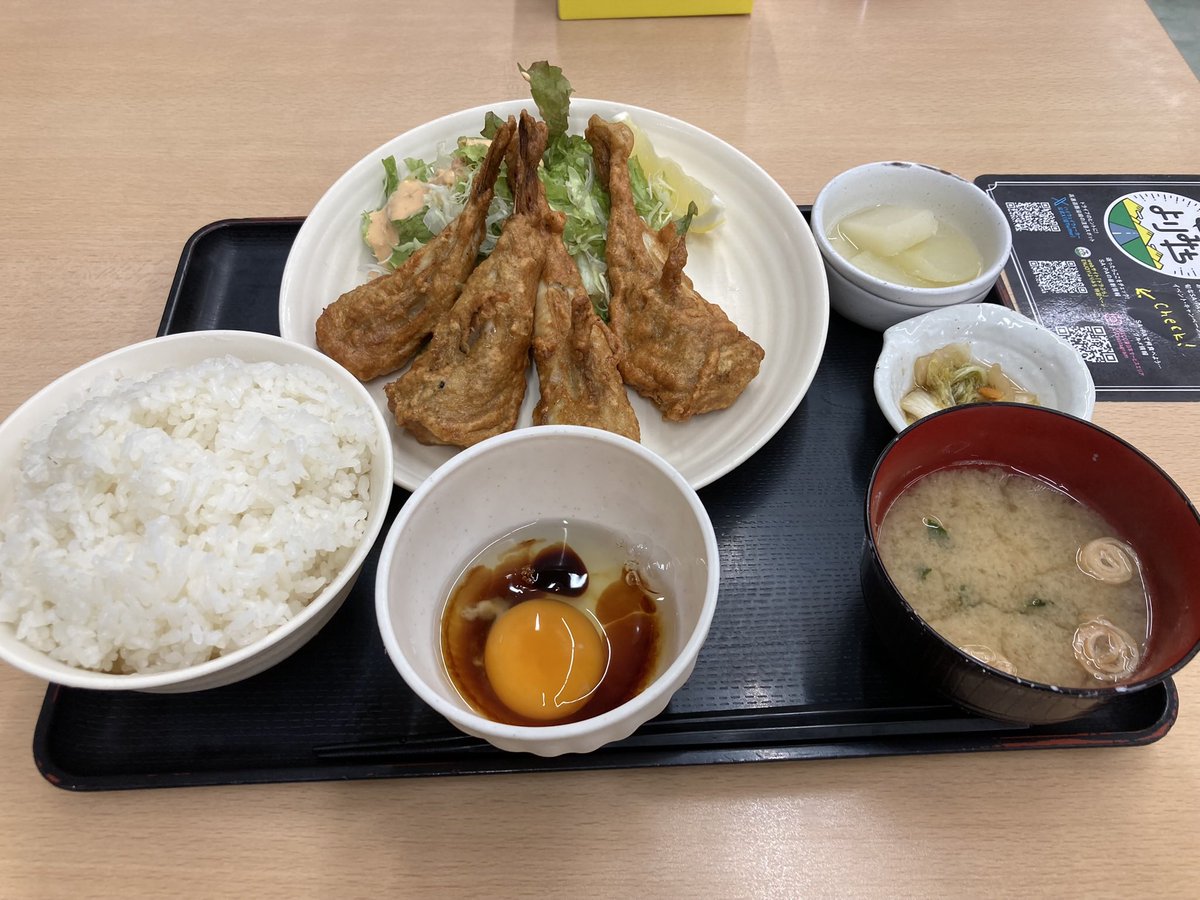 ケンゴ tweet media