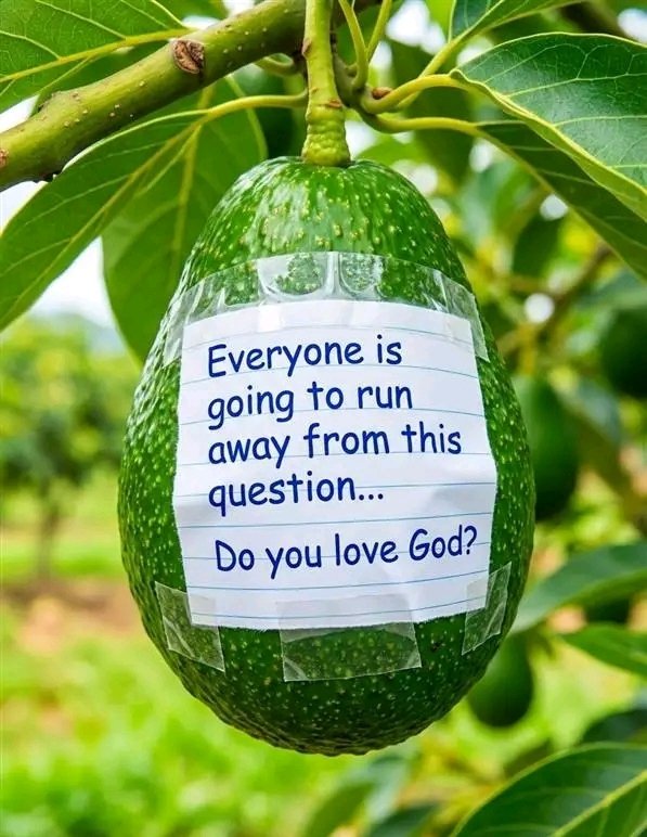 God and Grind. tweet media