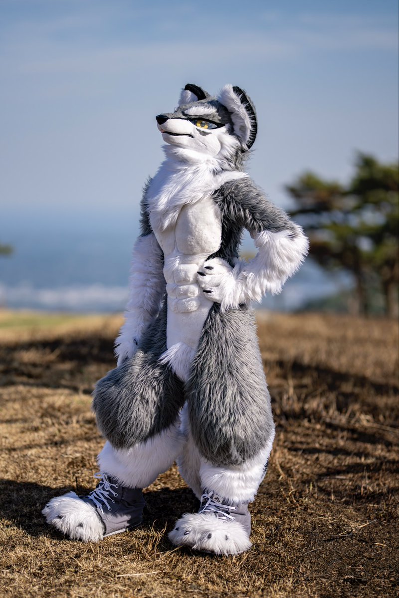 フォルカ｜Volker tweet media