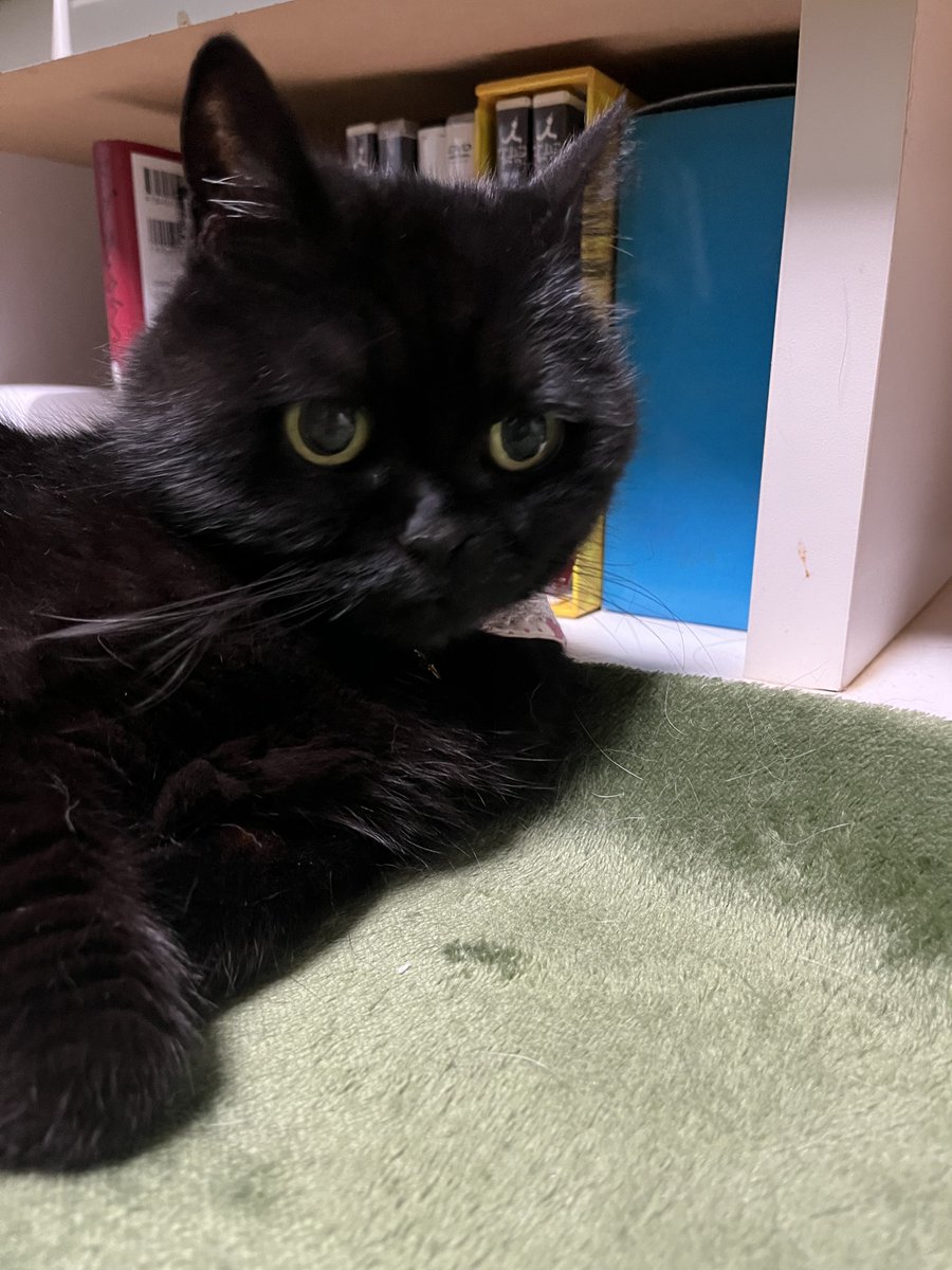 KEI tweet media