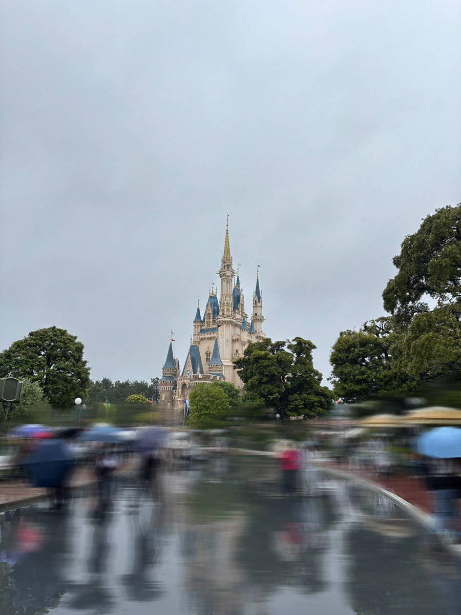 ゆうちゃ🦘 tweet media