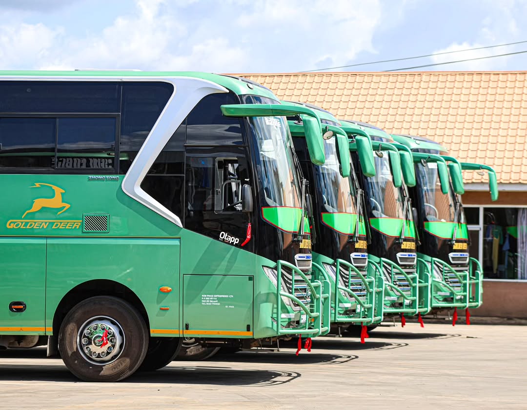Southern Highland Buses tweet media