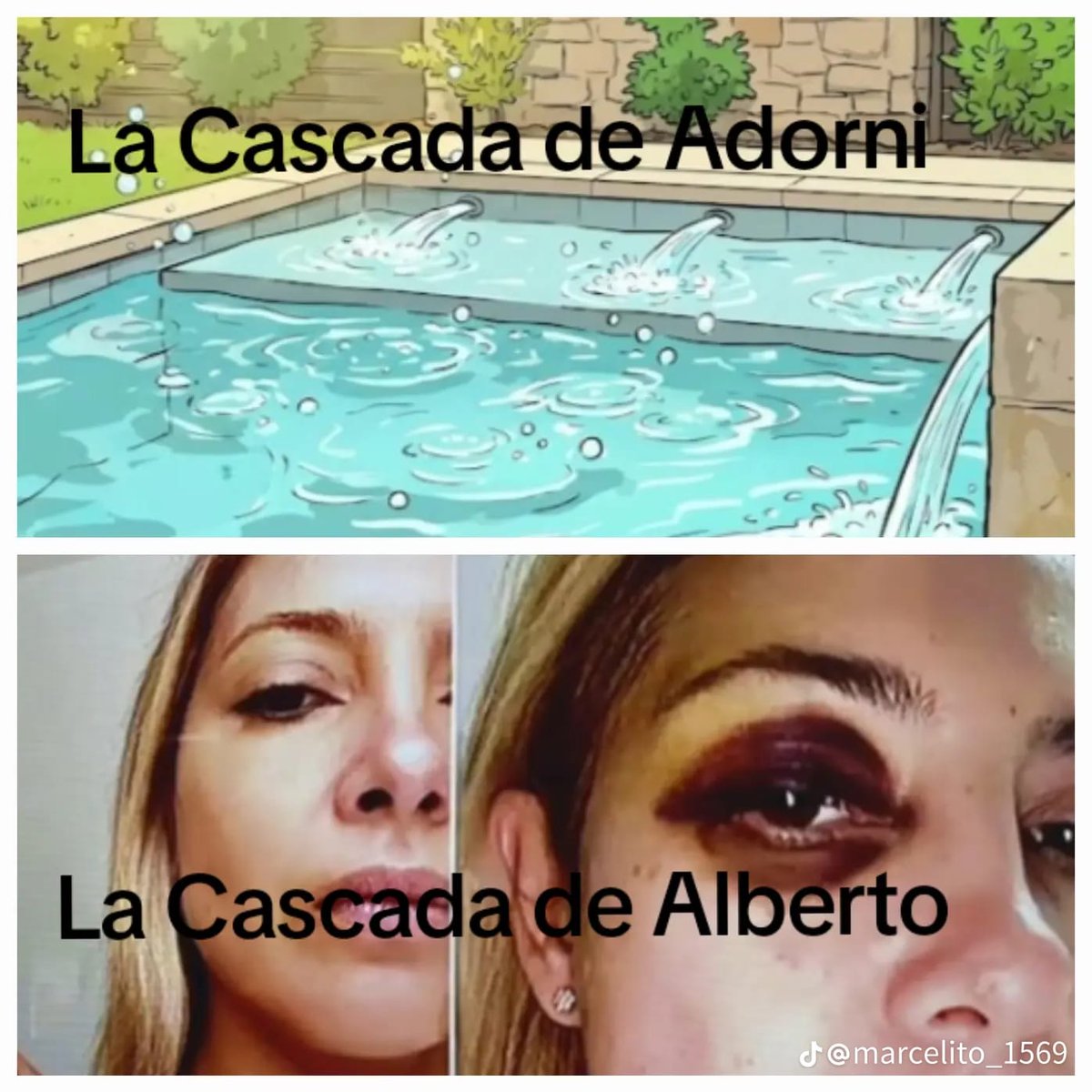 Cerebro de Peronismo tweet media