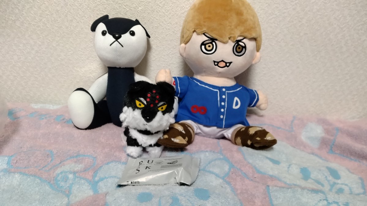 あやめ tweet media