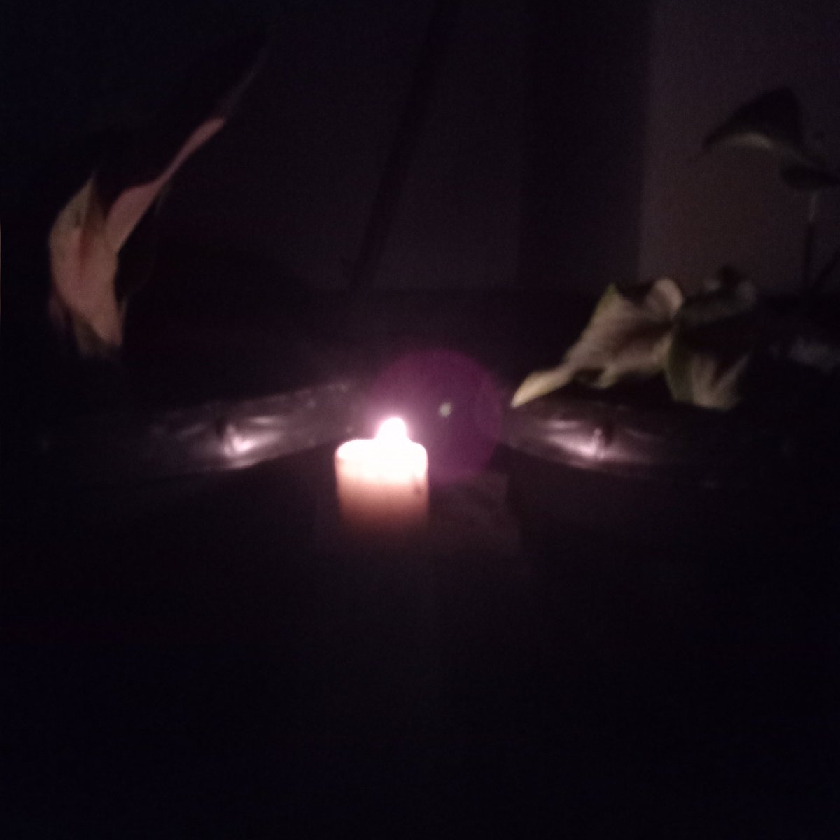 __rrl7's tweet photo. Mati lampu , lama banget dari pada gabut bagus ngepet kita ,aku jaga lilin siapa mau jadi babi🐖🐖nya ni 😭🤣 https://t.co/Vr1pGN4oGJ