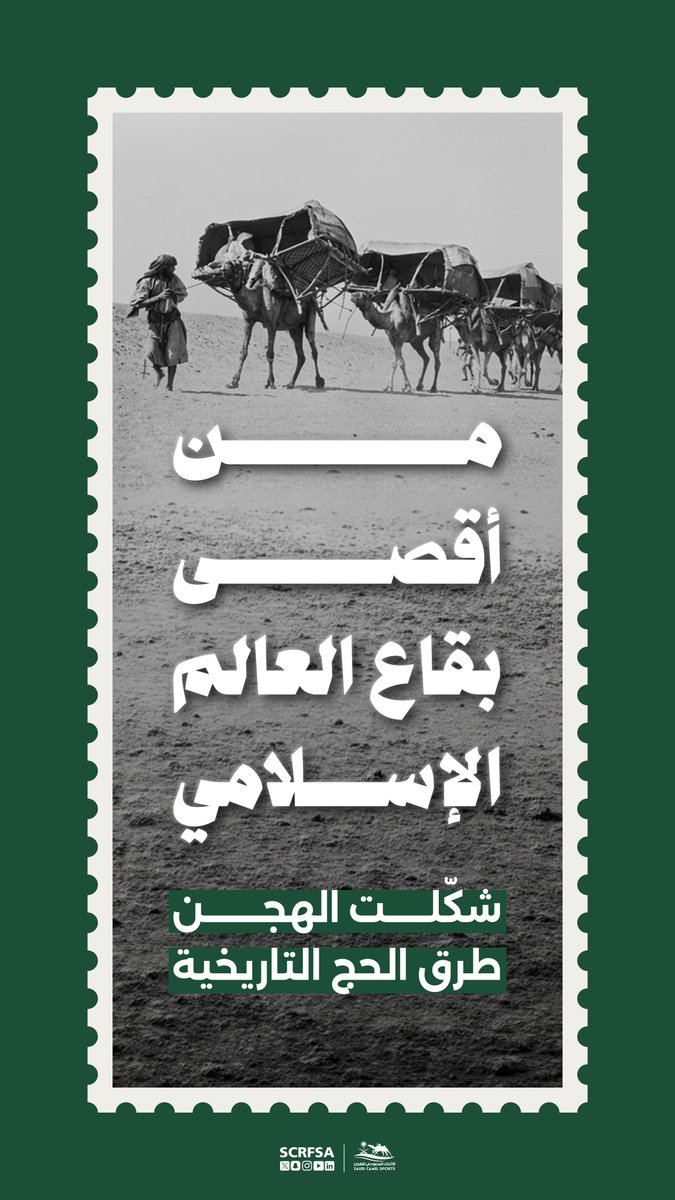 الاتحاد السعودي للهجن tweet media