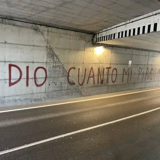 Dio tweet media