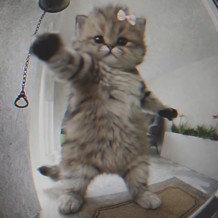 Clocktoss tweet media