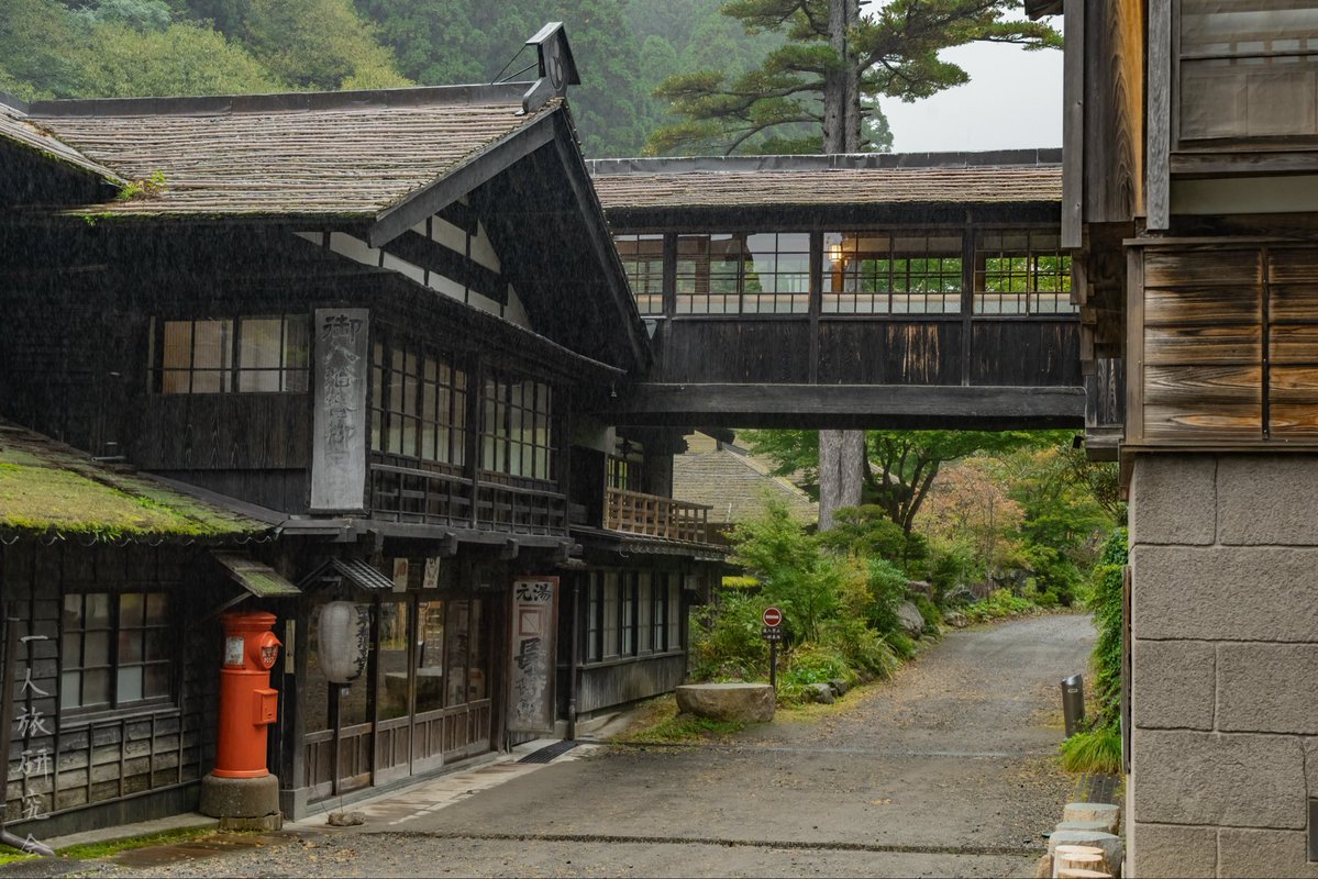 一人旅研究会 tweet media