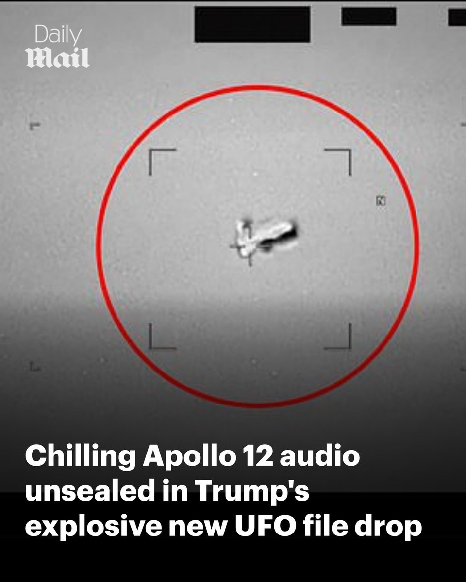 Daily Mail US tweet media