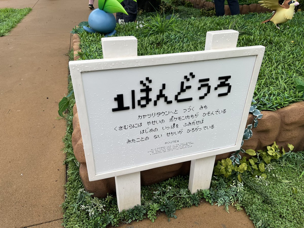 DoNxBoCo's tweet photo. いやめちゃくちゃ楽しかった。雨降っててちょっと大変だったけど、俺たちが求めていたポケモンの世界がそこにあった...もっと見たいって思ったなぁ、エリア拡大して欲しい！ https://t.co/rZNUy67QYp