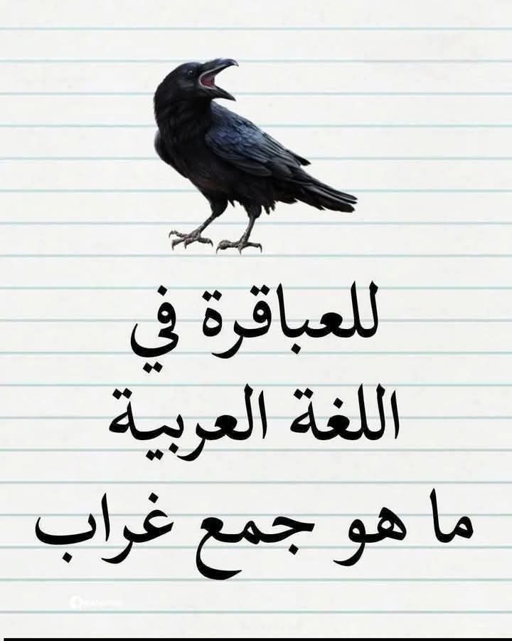 علي إسماعيل tweet media