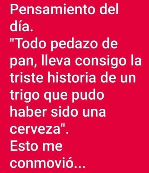 ROCIO 🇲🇽 tweet media