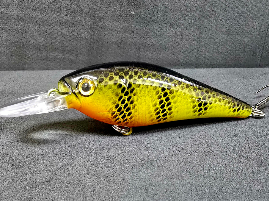 Saltwater on the Fly tweet media