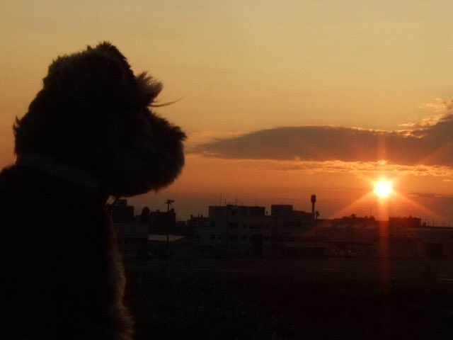 min tweet media