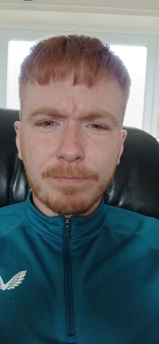 Ginger Tom tweet media