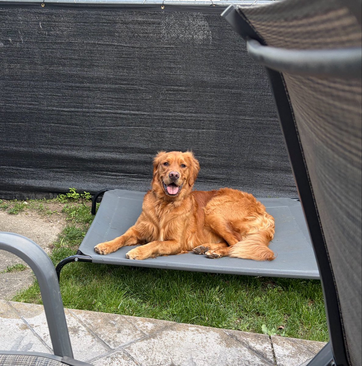 jmur96's tweet photo. My dog > your dog https://t.co/rJV1UX4ttJ